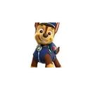 PAW PATROL INU