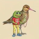 Peace Frog