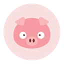 Piggy Finance