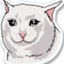 SAD MEOW