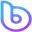 bDollar Share