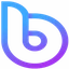 bDollar Share