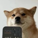SelfieDogCoin