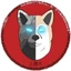 Shanghai Inu