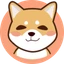SHIBA BSC