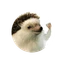 Elon Hedgehog