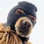 Ski Mask Dog