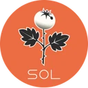 Sol The Trophy Tomato