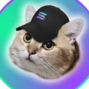 CatSolHat