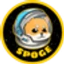 Space Doge