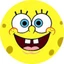 Sponge