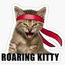 Roaring Kitty (Sol)