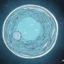 Sui Universe