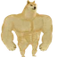 Swole Doge