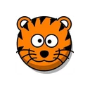 Tiger Finance