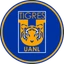 Tigres Fan Token