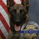 K-9 Killed in Shootout