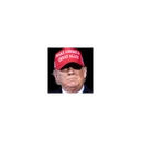 trumpwifhat