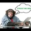 $TRUST ME BROs by Virtuals