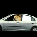 A Gently Used 2001 Honda Civic