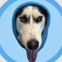 DOGWIFHOOD 