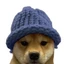 WIF on ETH