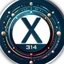X314